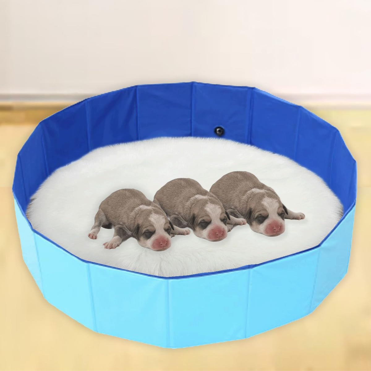 Piscina para perros portátil y plegable de Cdycam, útil para refrescar al aire libre.