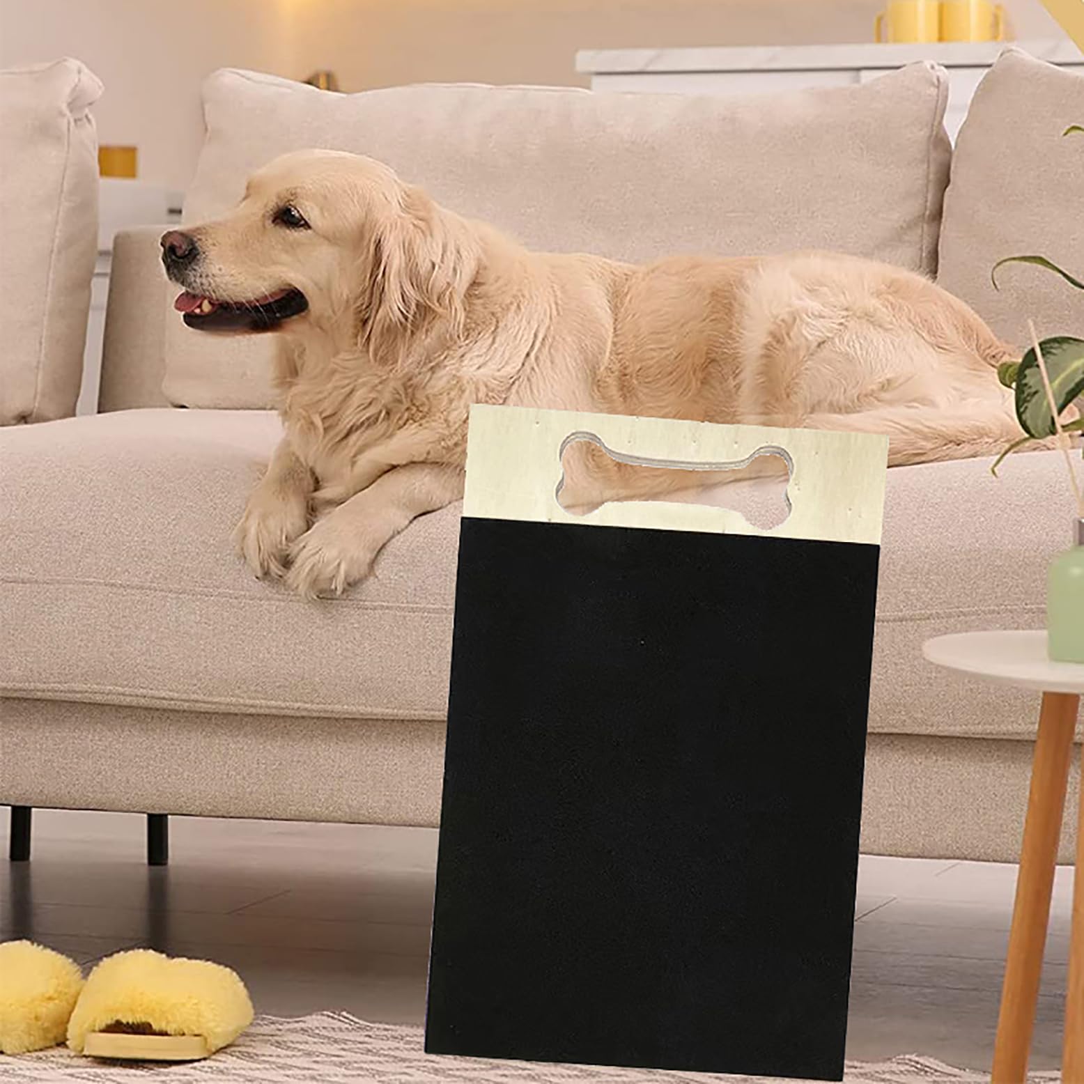 Cdycam tabla rascar-uñas para perros, superficie anti-deslizante, perfecta para sesiones estables.