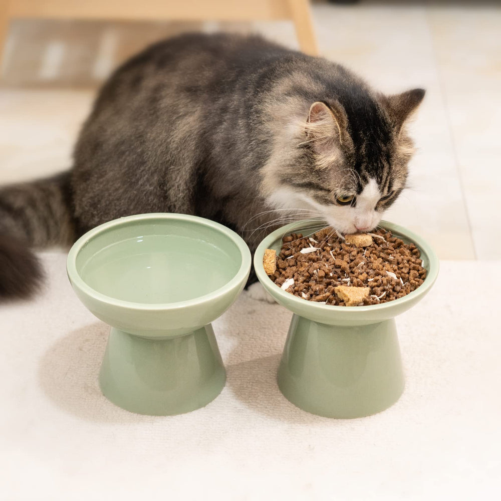 Ceefu bowl ceramico moderno, diseño elegante para la mesa.