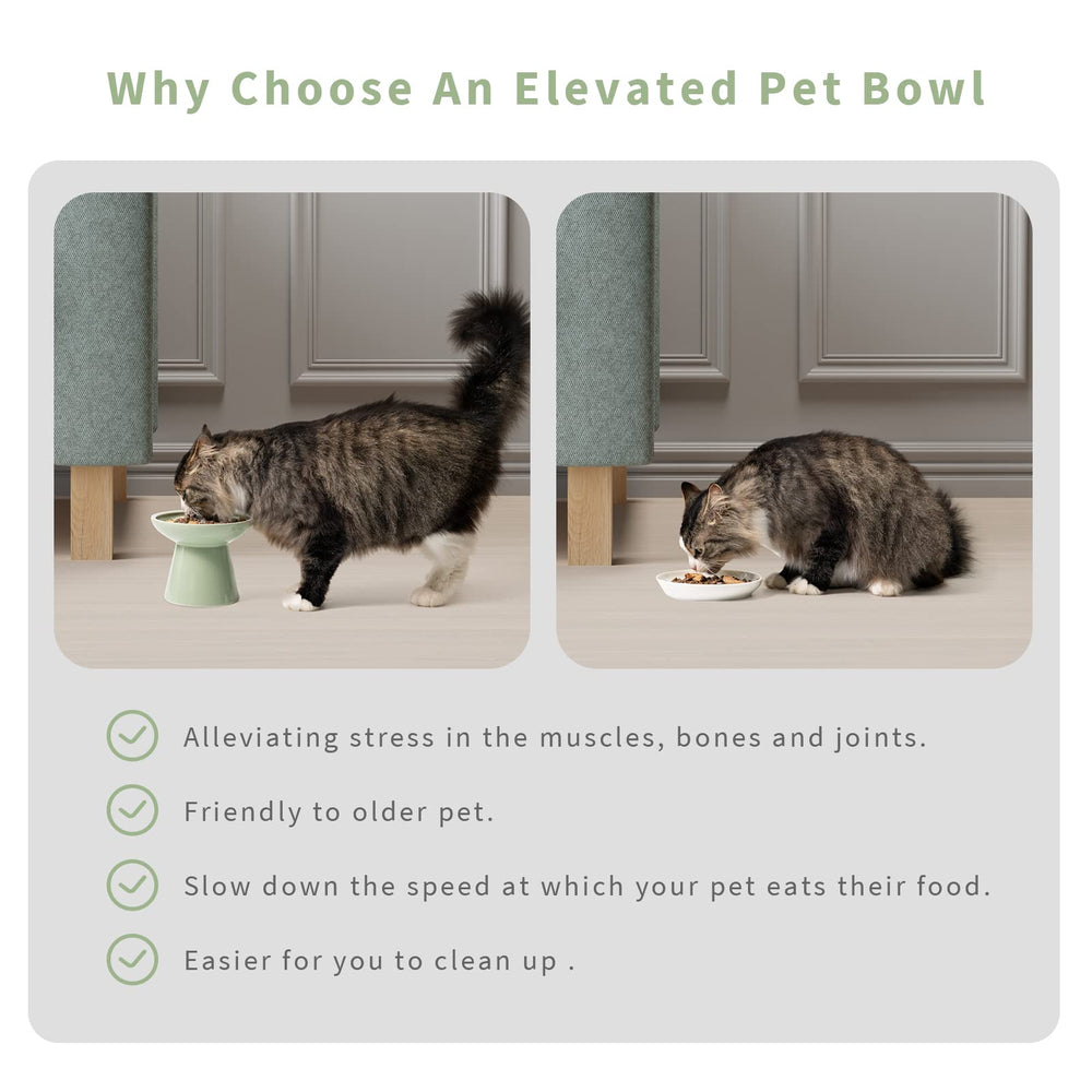 Ceefu bowl regalo para amantes de mascotas, presentación simple y bonita.