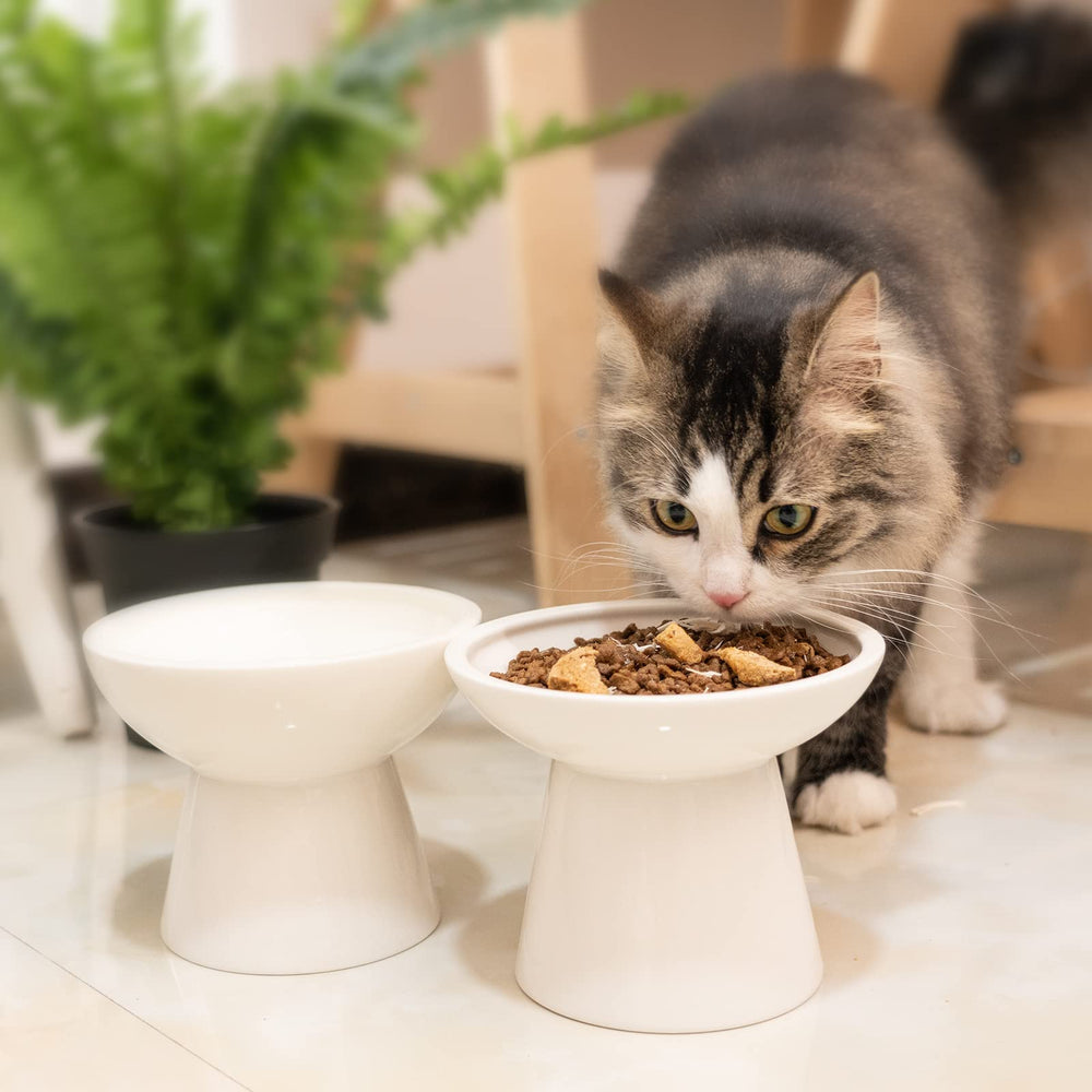 Ceefu tazón cerámico elevado blanco, diseño moderno para la cocina.