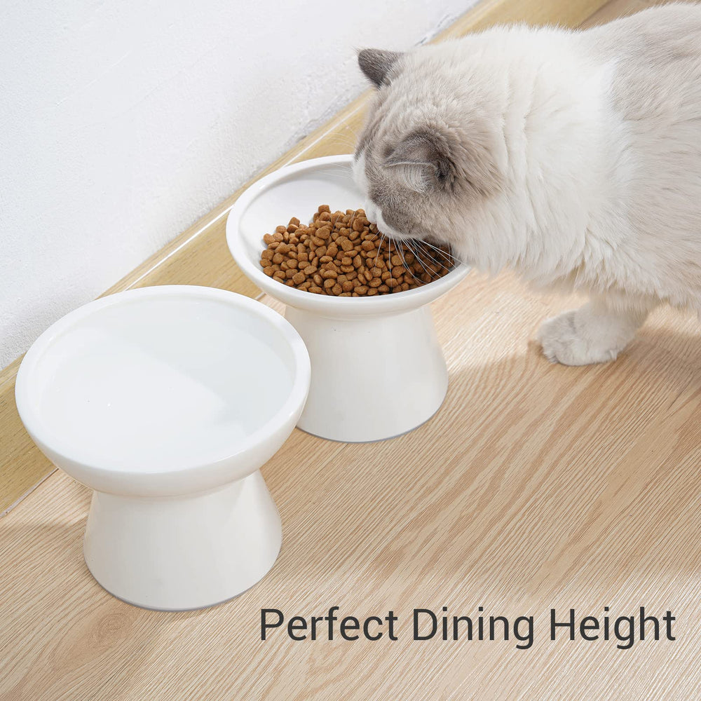 Ceefu tazón cerámico elevado para gatos mayores, cómodo para artritis.