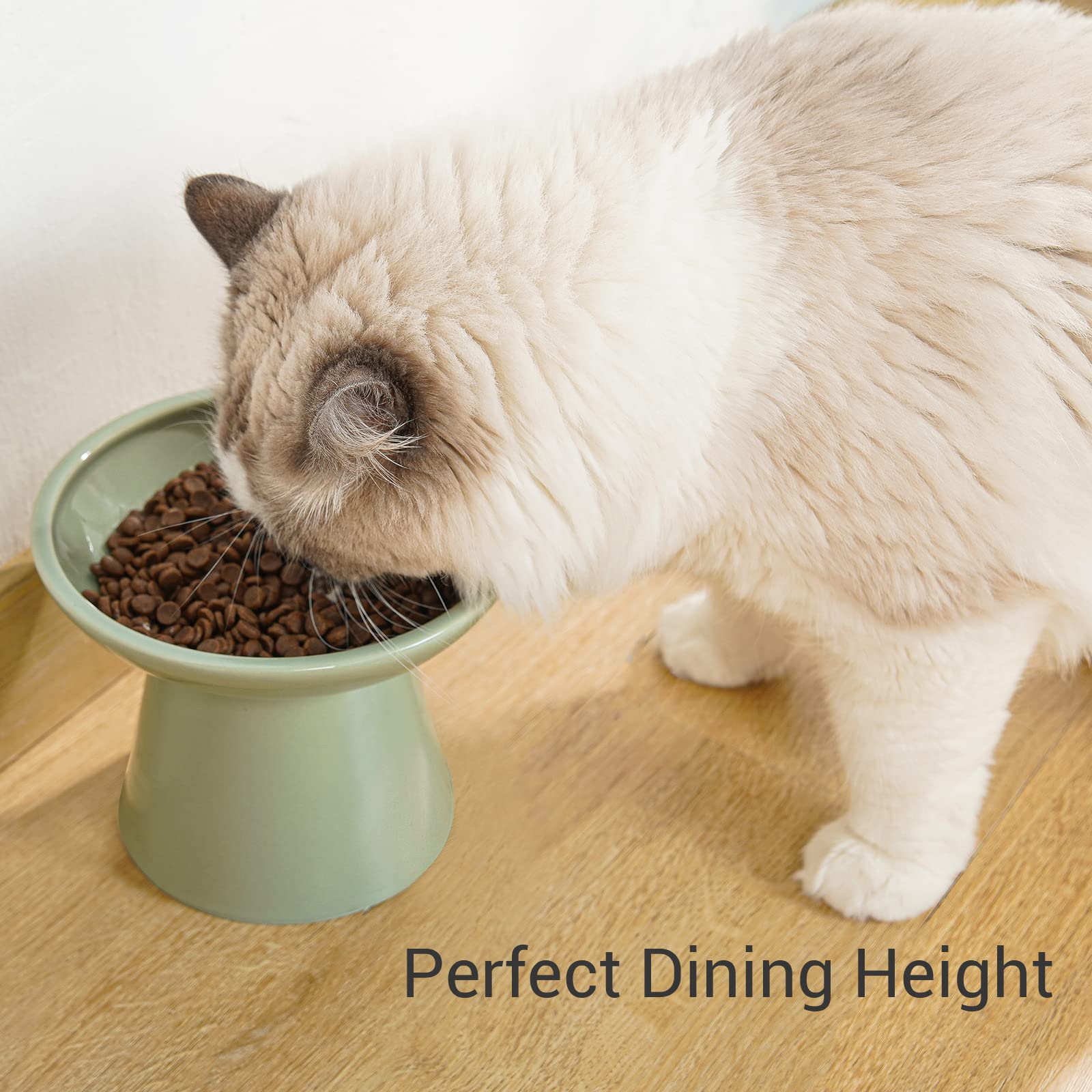 CEEFU tazón elevado para gatos, altura de 5 pulgadas para comer de forma cómoda.