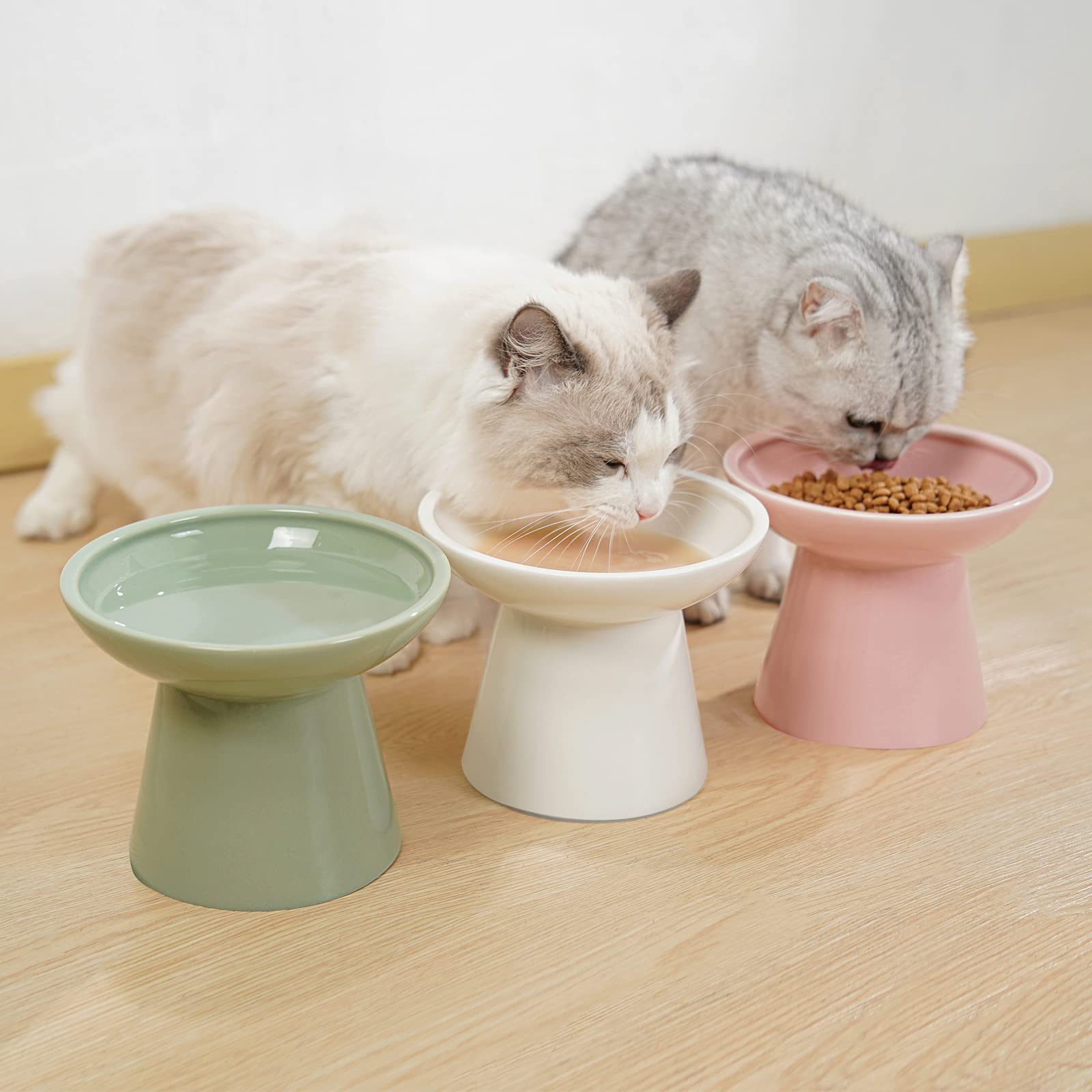 Ideal para gatos mayores con articulaciones, facilita comer sin doblar tanto.