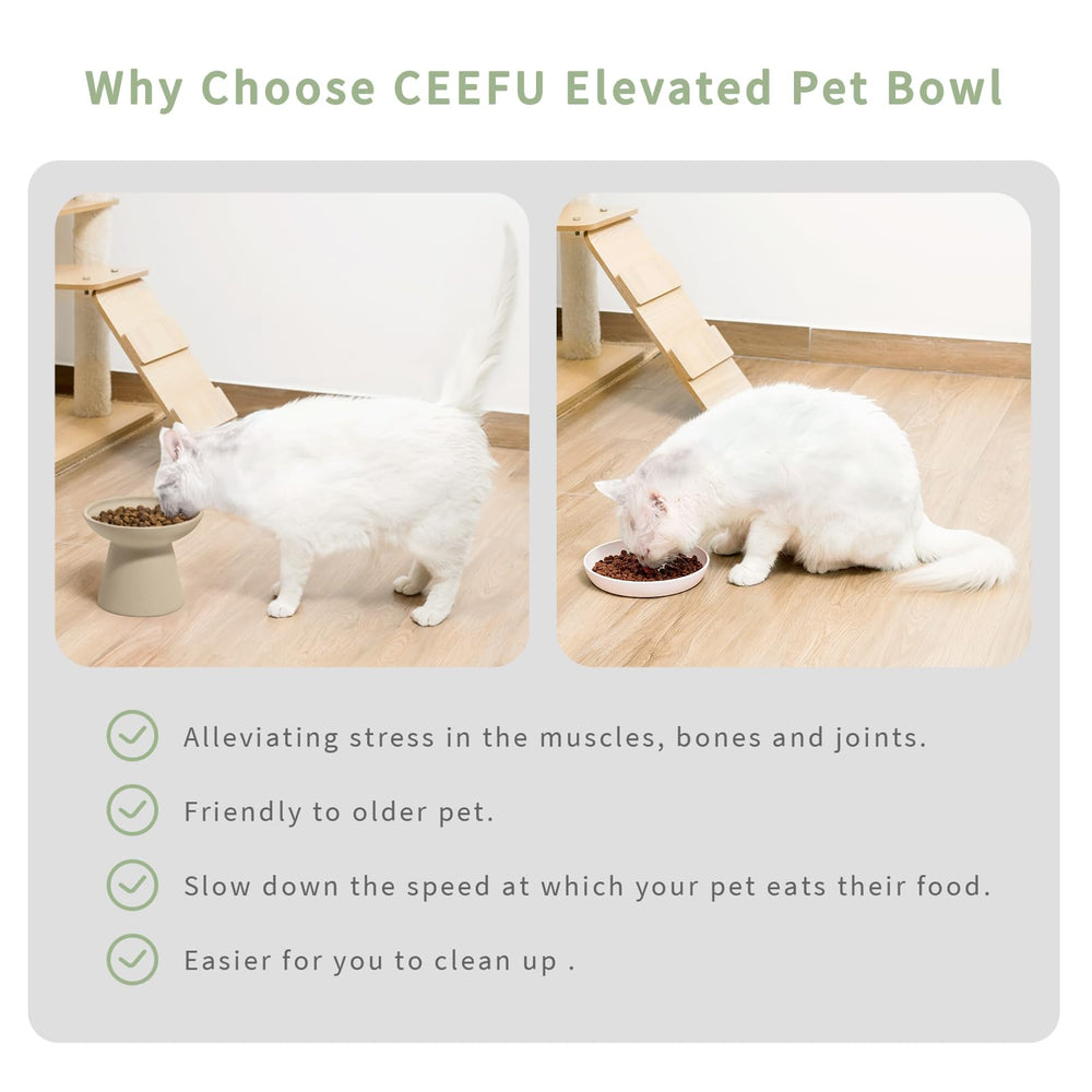 Diseno amigable para bigotes de CEEFU, mejora la experiencia de comer