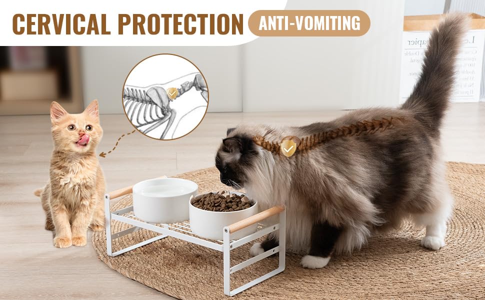 CEEFU uso diario gatos y perros: solución práctica para comidas diarias.