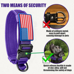 Celifelight collar con doble asa de control, ideal para manejo en la calle.