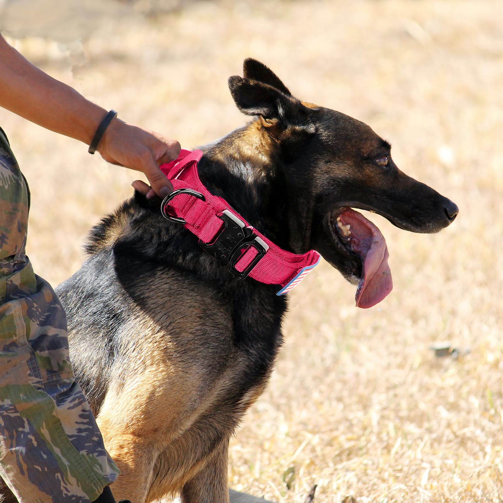 Uso en exteriores con collar Celifelight para entrenamiento al aire libre