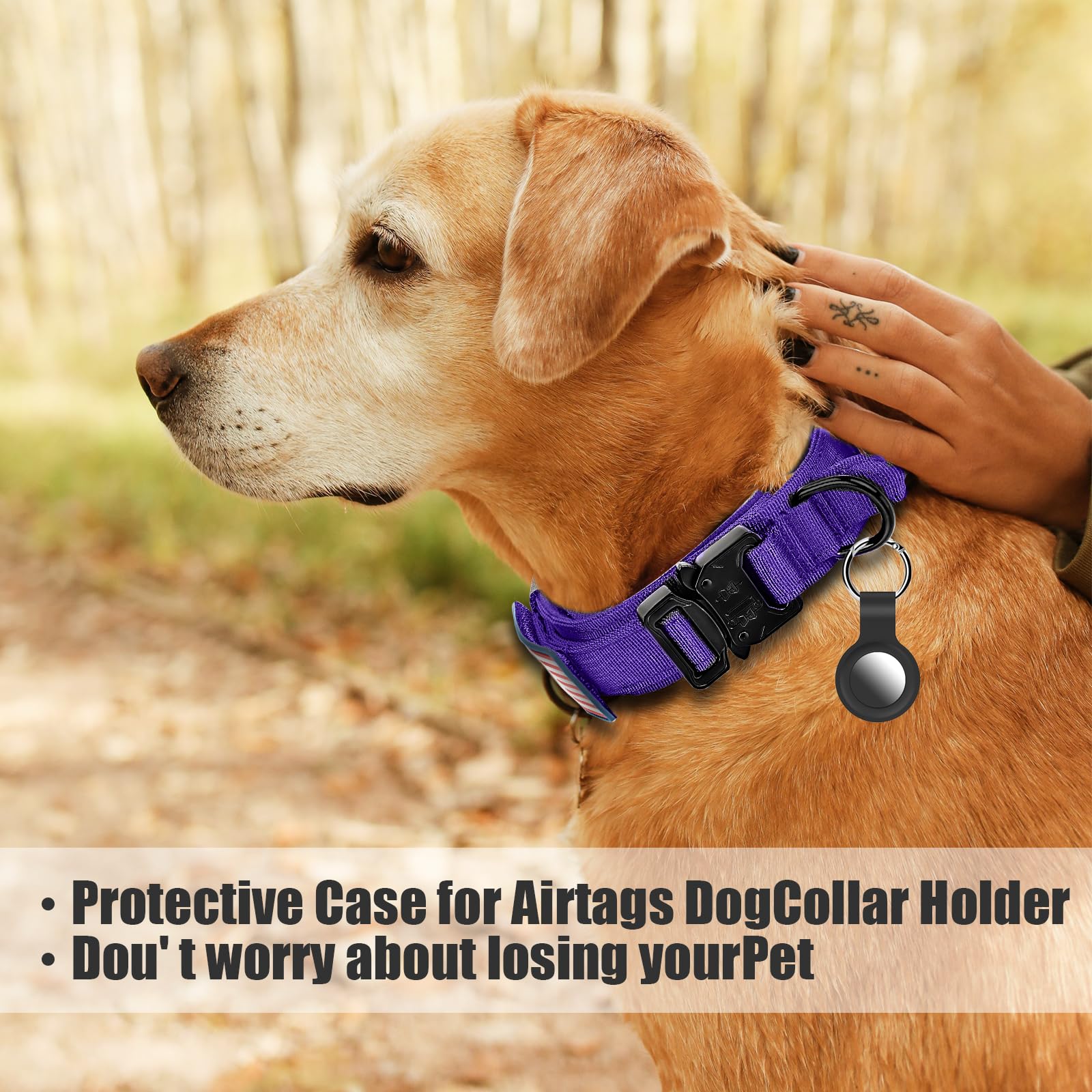 Celifelight estuche Airtag protege el dispositivo y facilita localizar a tu perro.