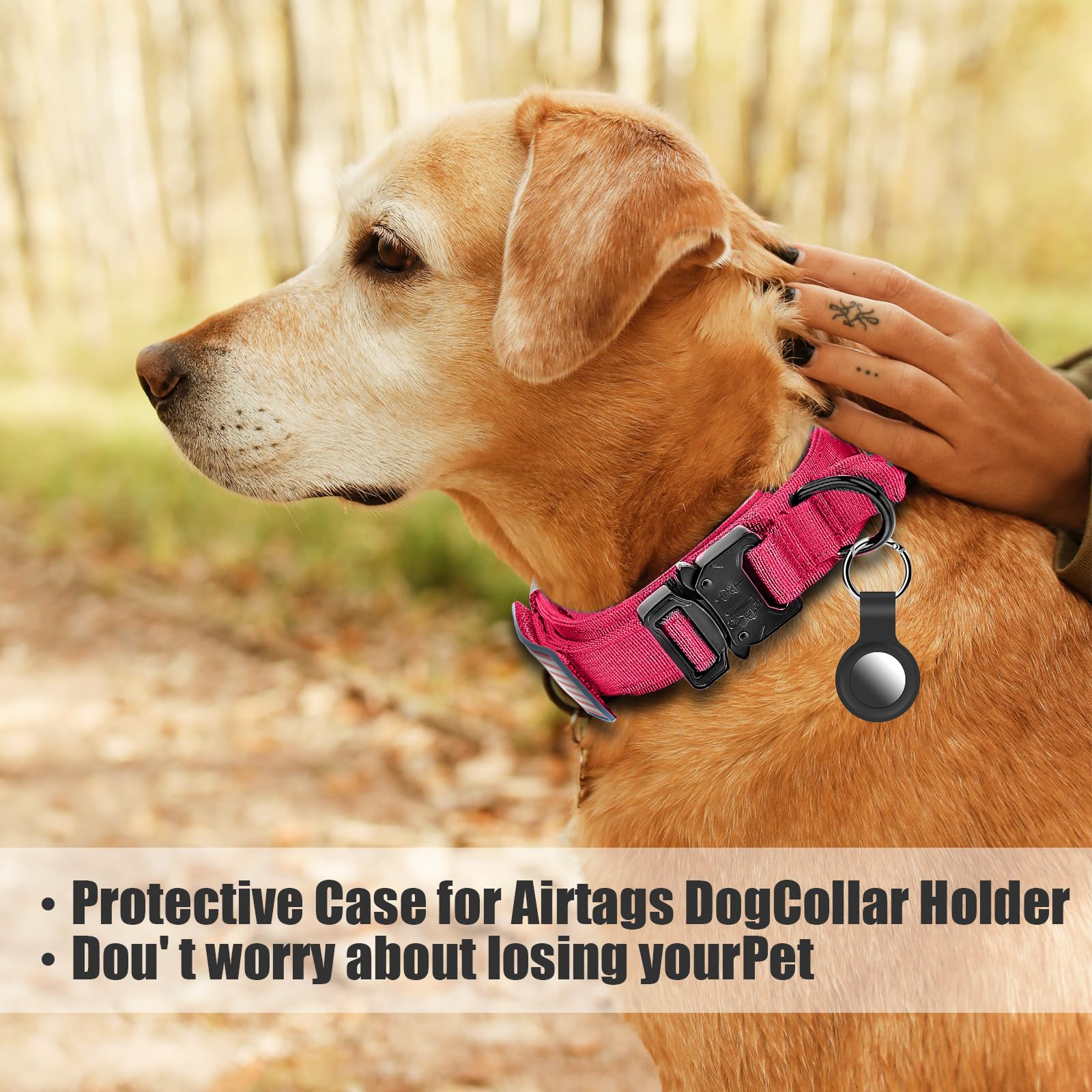 Parche Velcro intercambiable Celifelight para personalizar el collar