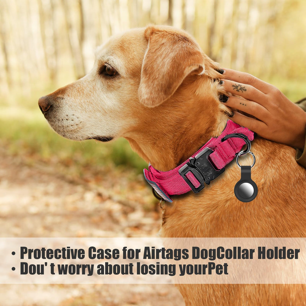 Parche Velcro intercambiable Celifelight para personalizar el collar