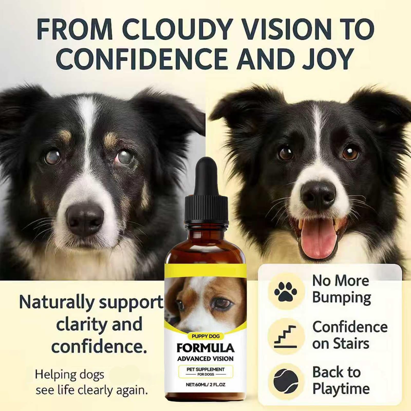 Cemenrete visión para perros mayores: apoyo diario para ojos sanos.