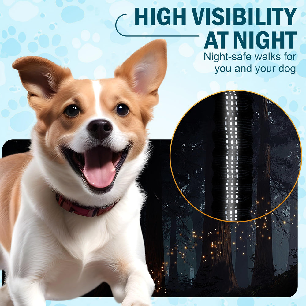CEMZENFIX, correa para dos perros con bungee para absorber impactos