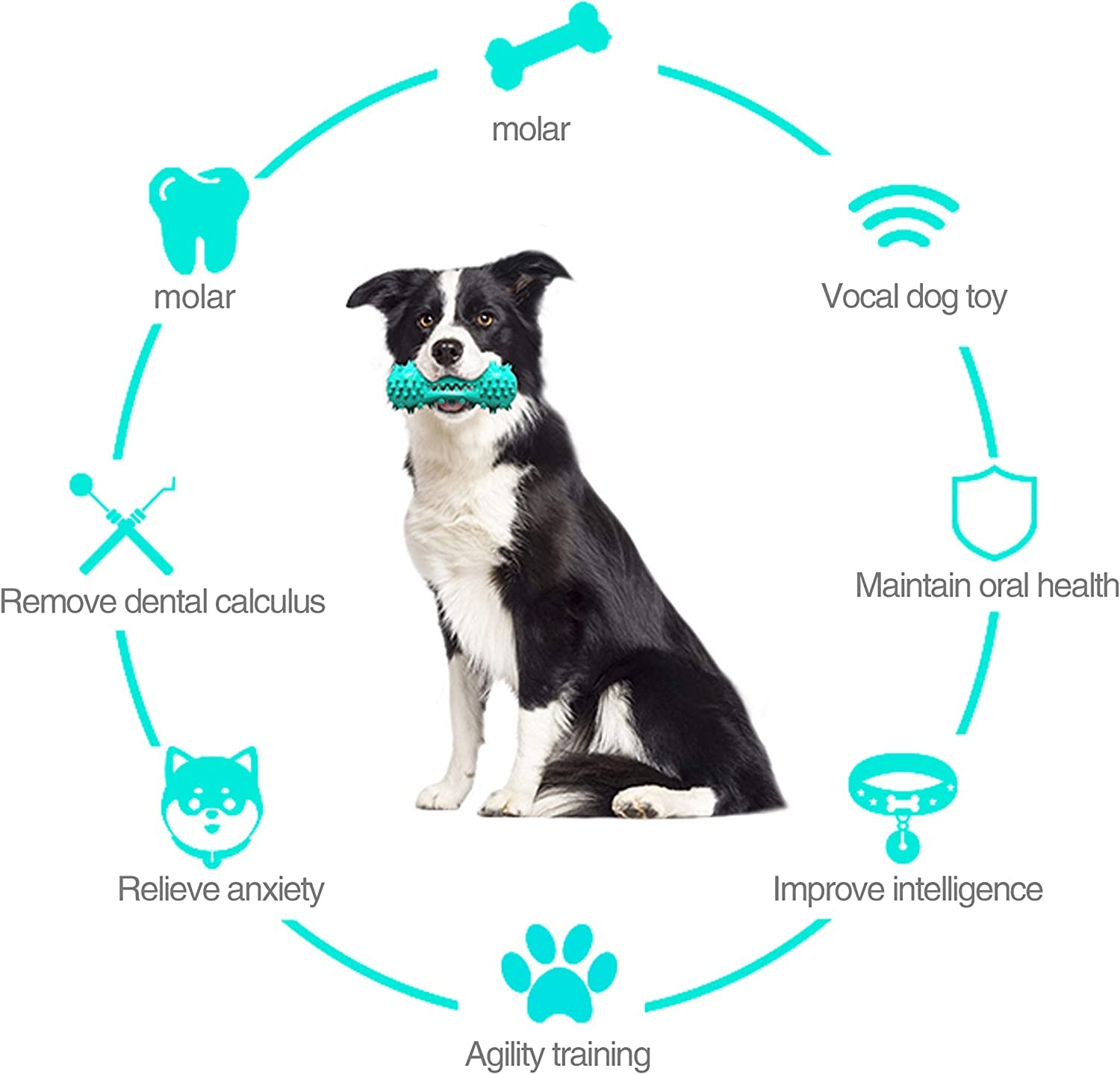 CERISURIO mordedor para dientes de perros azul, apto para lavavajillas