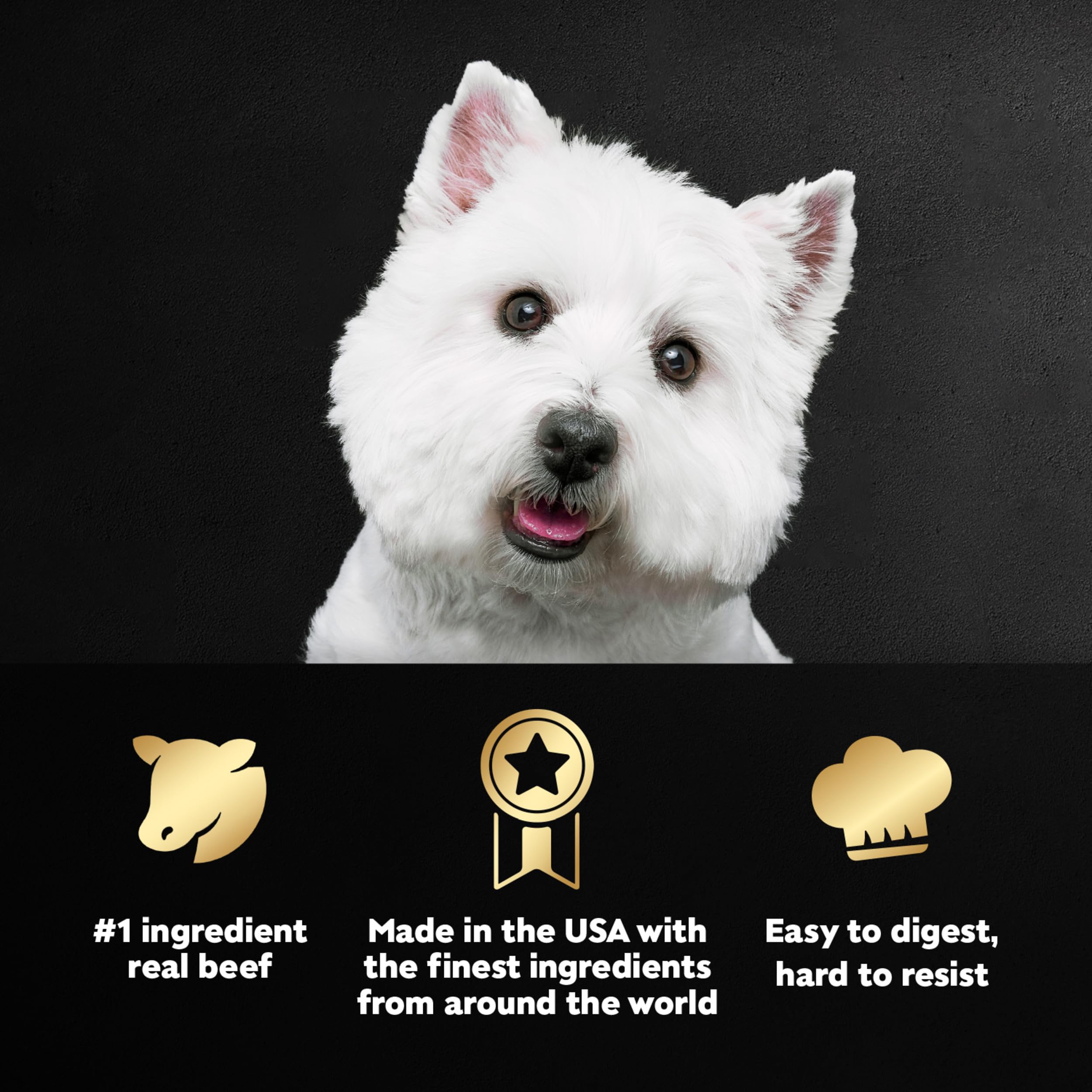Cesar Comida Húmeda para Perros: textura jugosa en primer plano