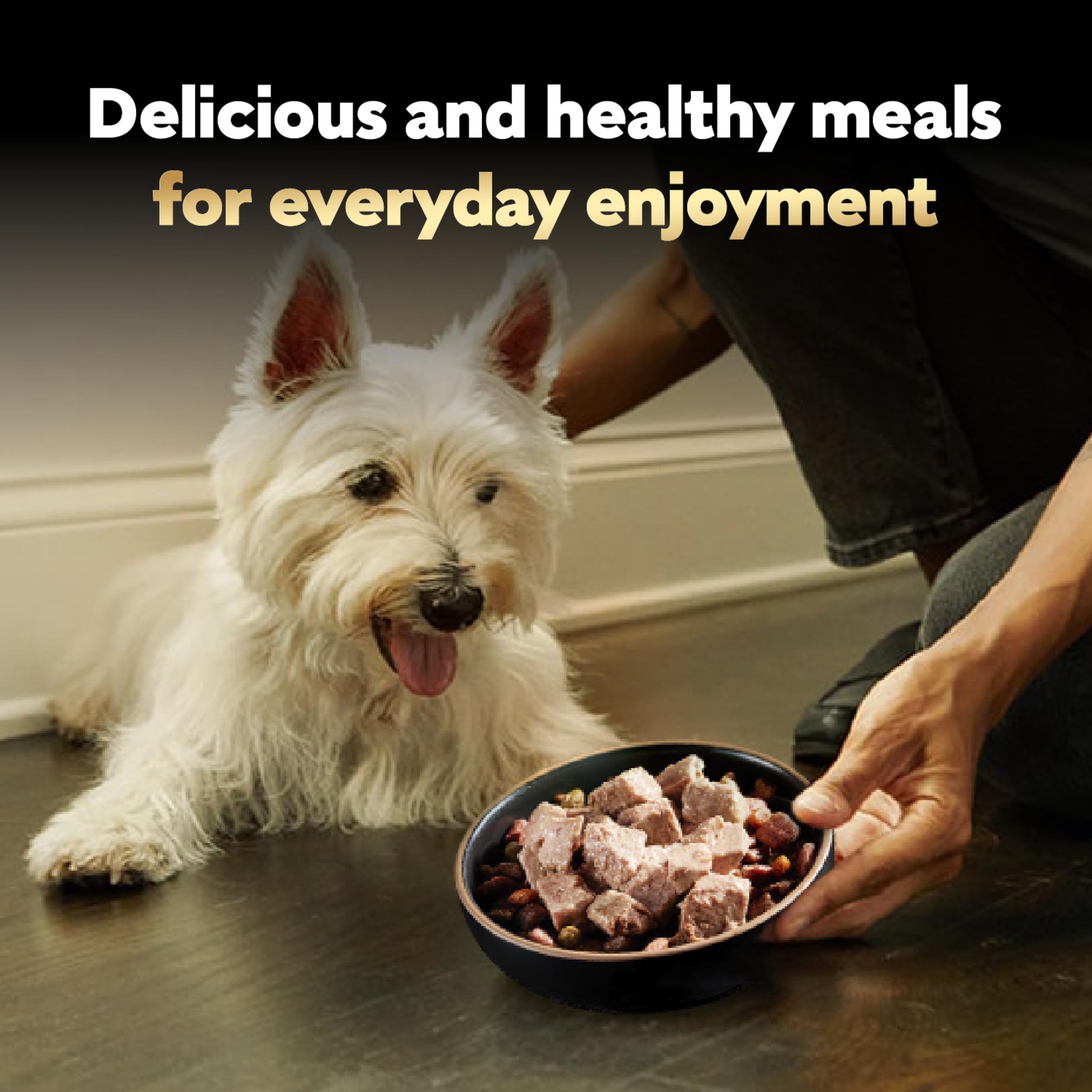 Cesar Comida Húmeda para Perros: variedad de sabores selección del carnicero