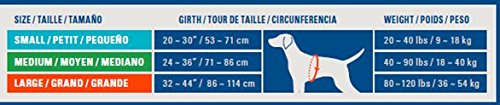 Mochila Cesar Millan para perro pequeña, correas elásticas, se adapta al movimiento del perro.