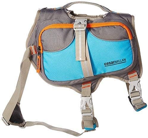Mochila Cesar Millan para perro pequeña, vista trasera, estructura estable durante caminatas.
