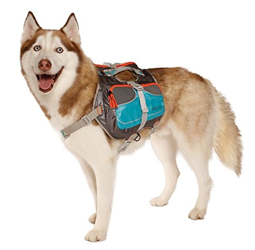 Mochila Cesar Millan para perro pequeña, diseño ergonómico para movilidad suave.
