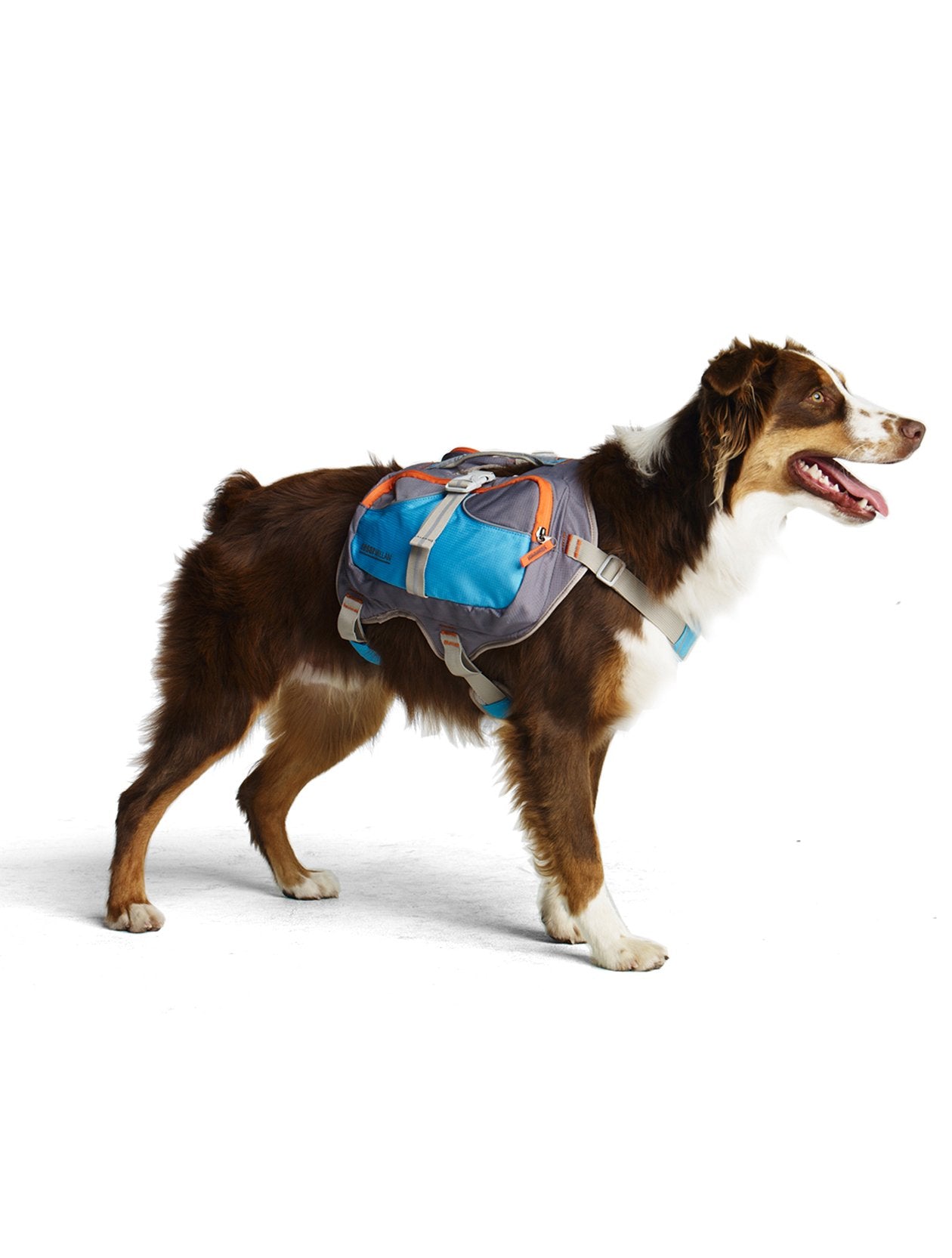 Mochila Cesar Millan para perro pequeña, vista frontal, ideal para agua y snacks en paseos.