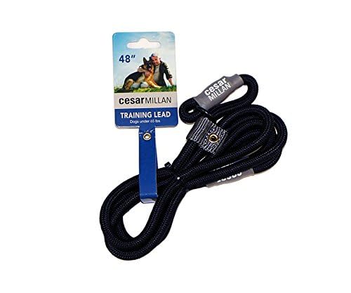 Cesar Millan Slip Lead: diseño seguro con manejo cómodo.