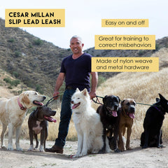 Cesar Millan Slip Lead para perros de todos los tamaños y fácil uso.