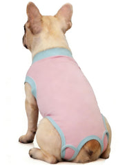 Ceseonce-suit-recuperacion-perro-frente: protege incisiones y mejora el descanso del animal.