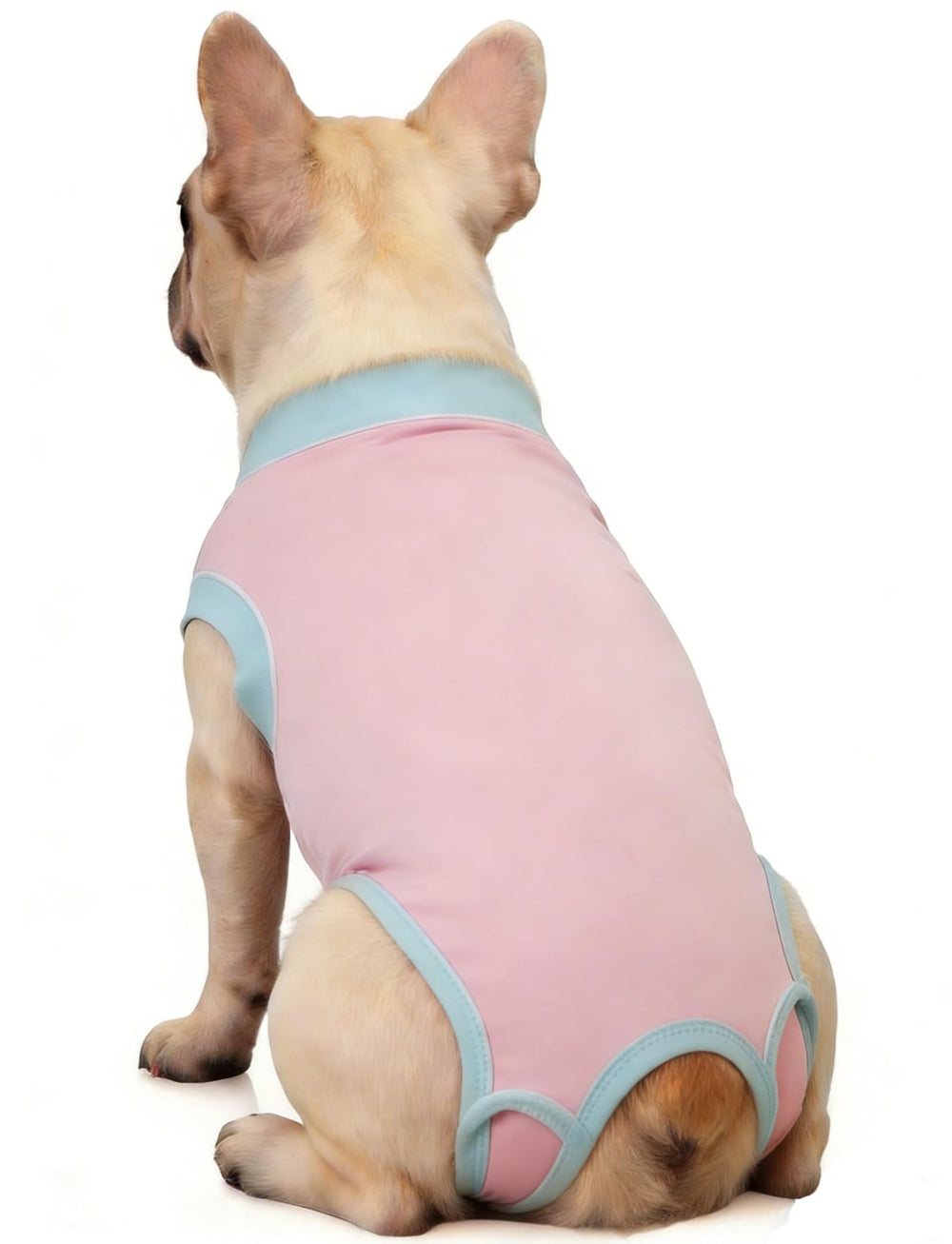 Traje de recuperación Ceseonce para perros protege incisiones tras cirugía.