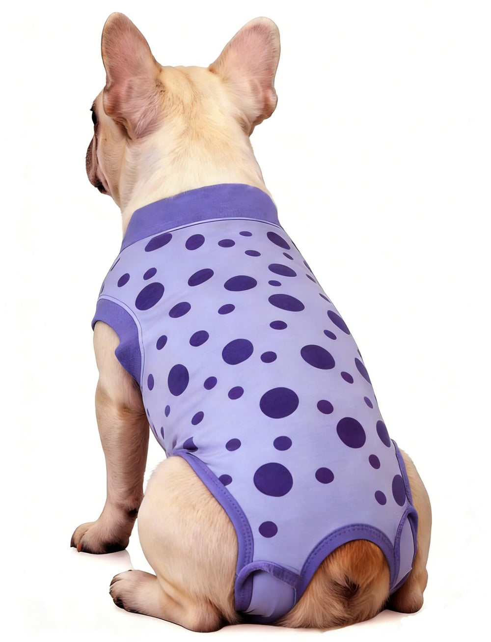 Funda de recuperación Ceseonce para perro, vista general y protección de incisiones.