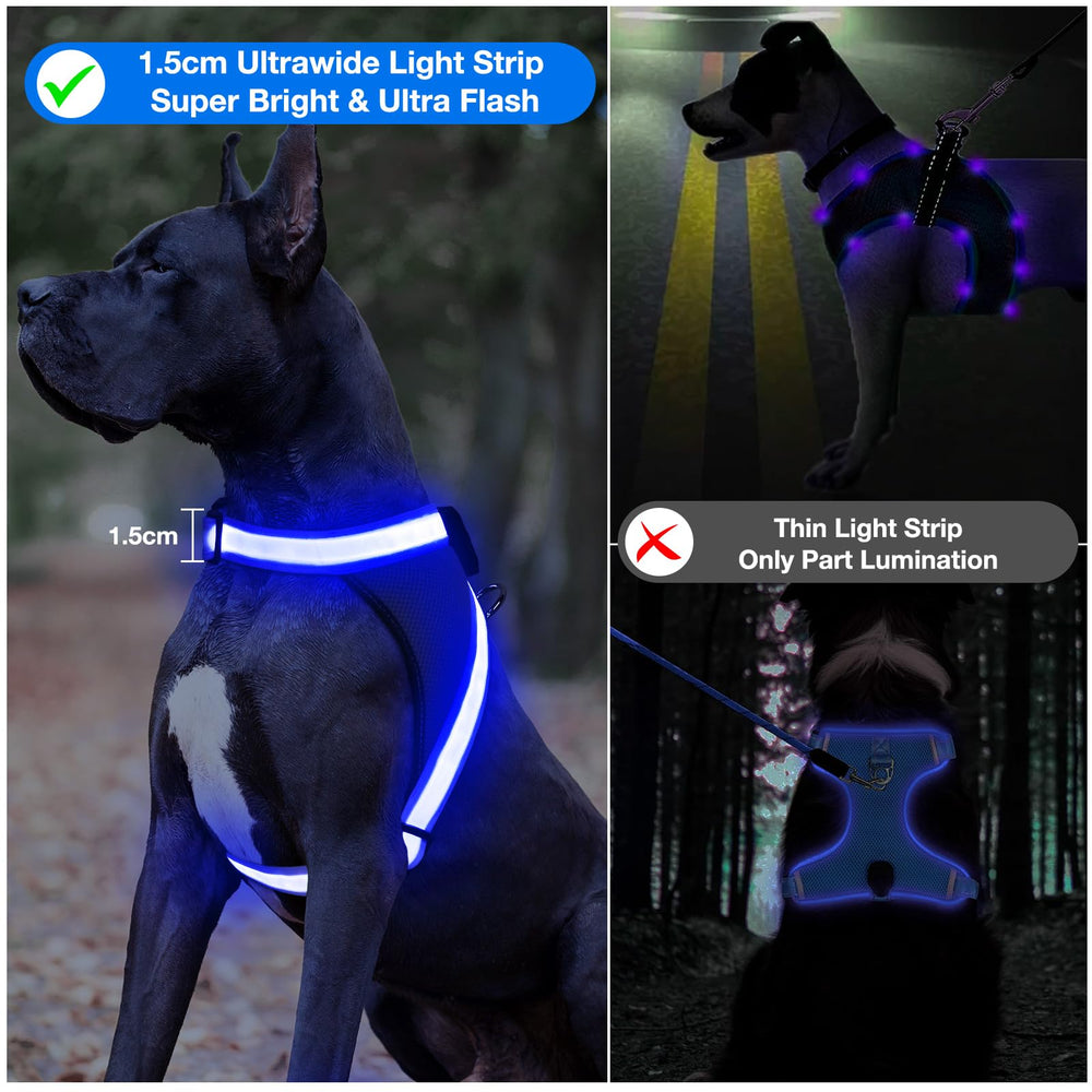ChalkLit Arnés LED para perro: ajuste rápido para un ajuste perfecto.