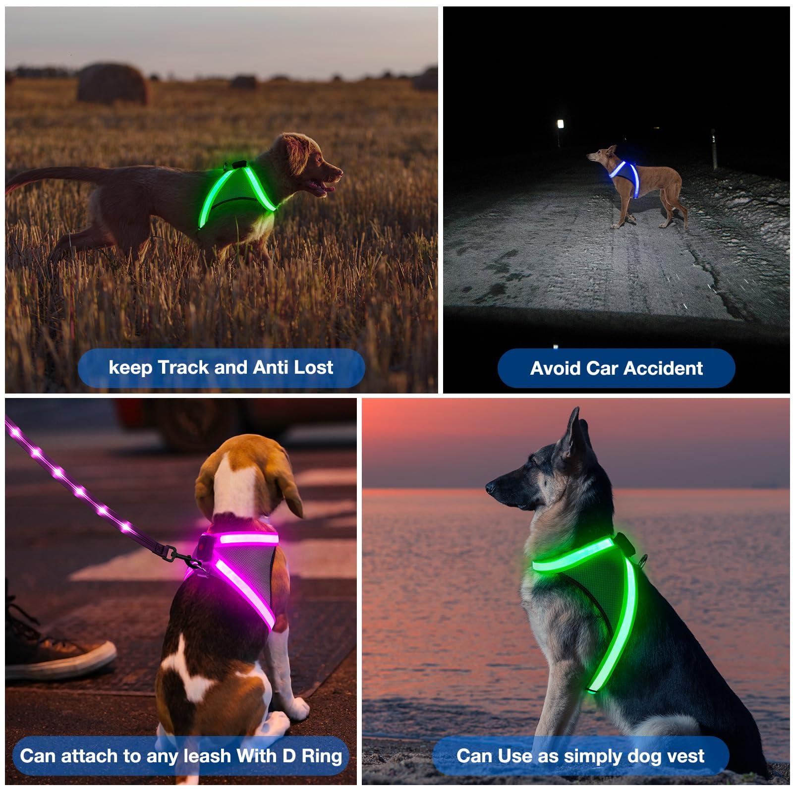 ChalkLit Arnés LED: visibilidad de 500 pies para prevenir accidentes.