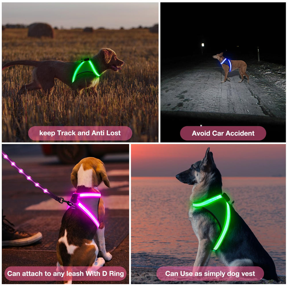 ChalkLit arnés luminoso, ajuste cómodo y transpirable para perros.