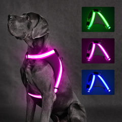 ChalkLit arnés luminoso para perros, vista frontal, alta visibilidad nocturna.