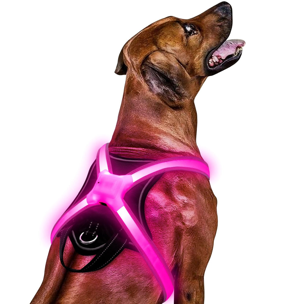 ChalkLit arnés para perro con iluminación multicolor para mayor visibilidad nocturna.