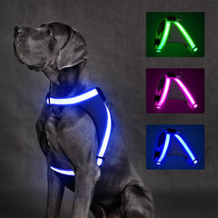 ChalkLit arnés iluminado para perro en la noche, mayor visibilidad.
