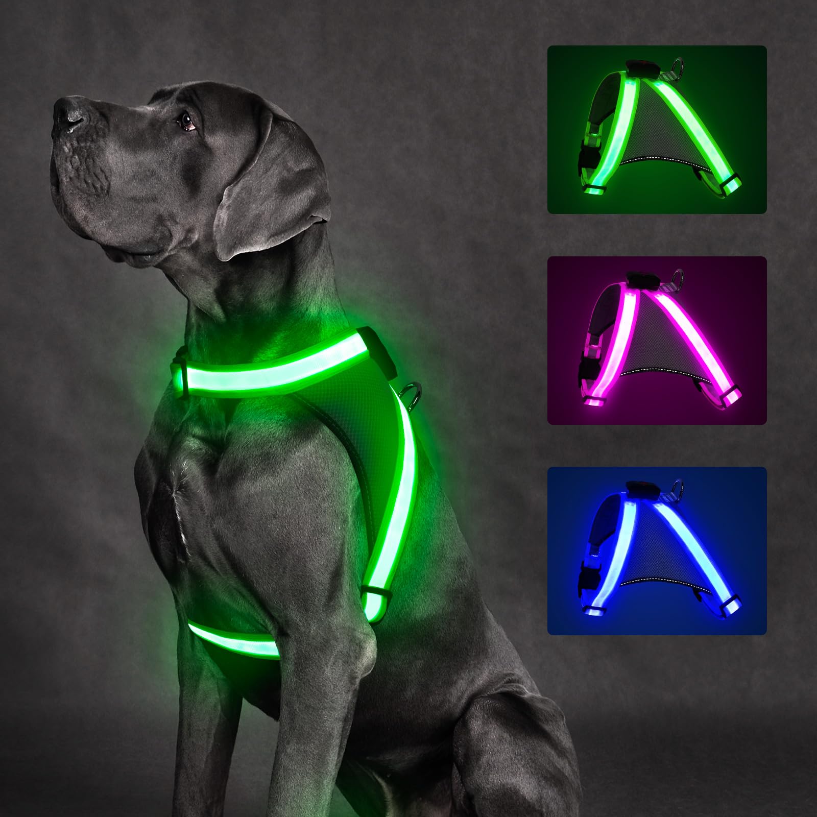 ChalkLit arnés LED para perros con iluminación 360° para paseos nocturnos.