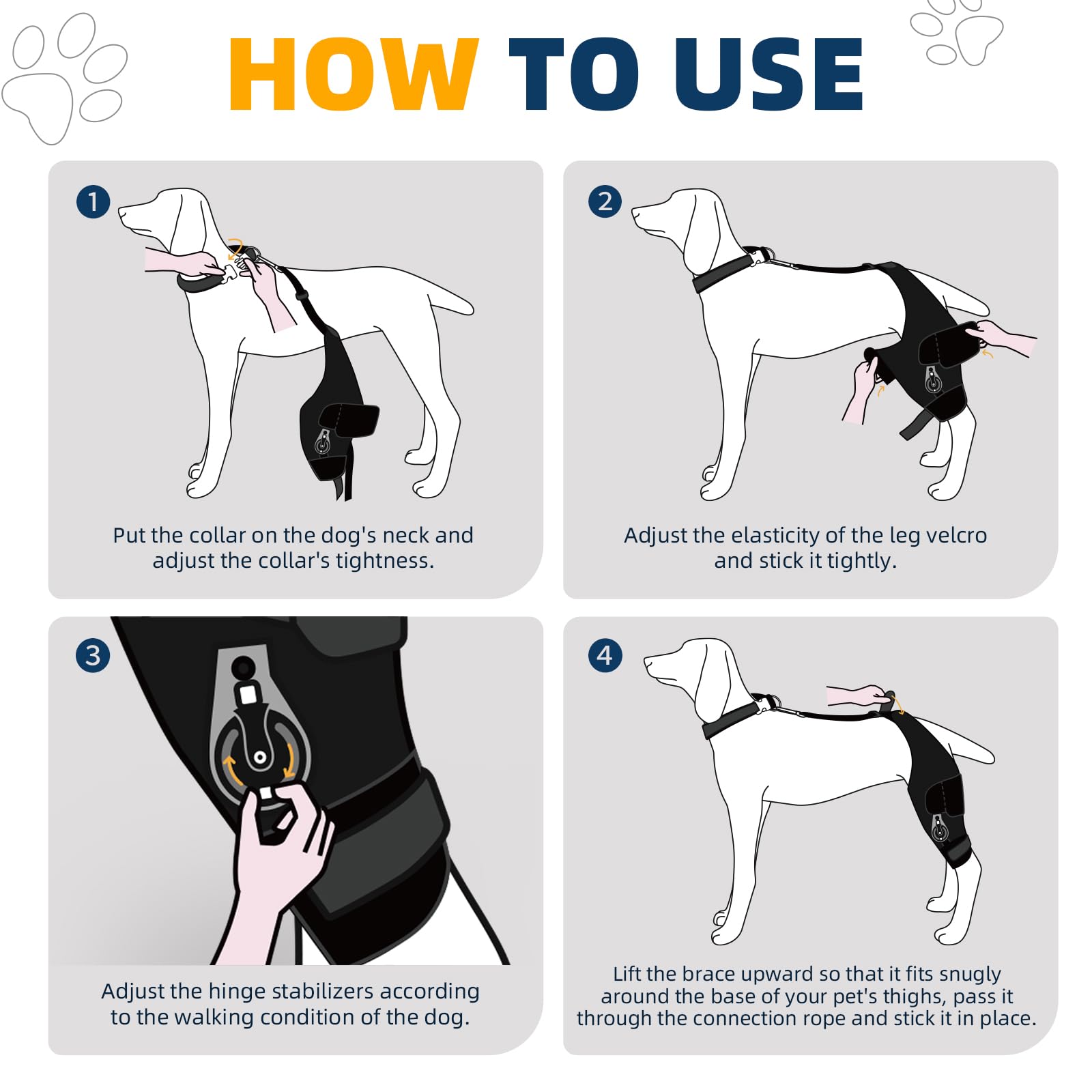 Instrucciones claras de CHAMIN para colocar la rodilla canina y seguridad