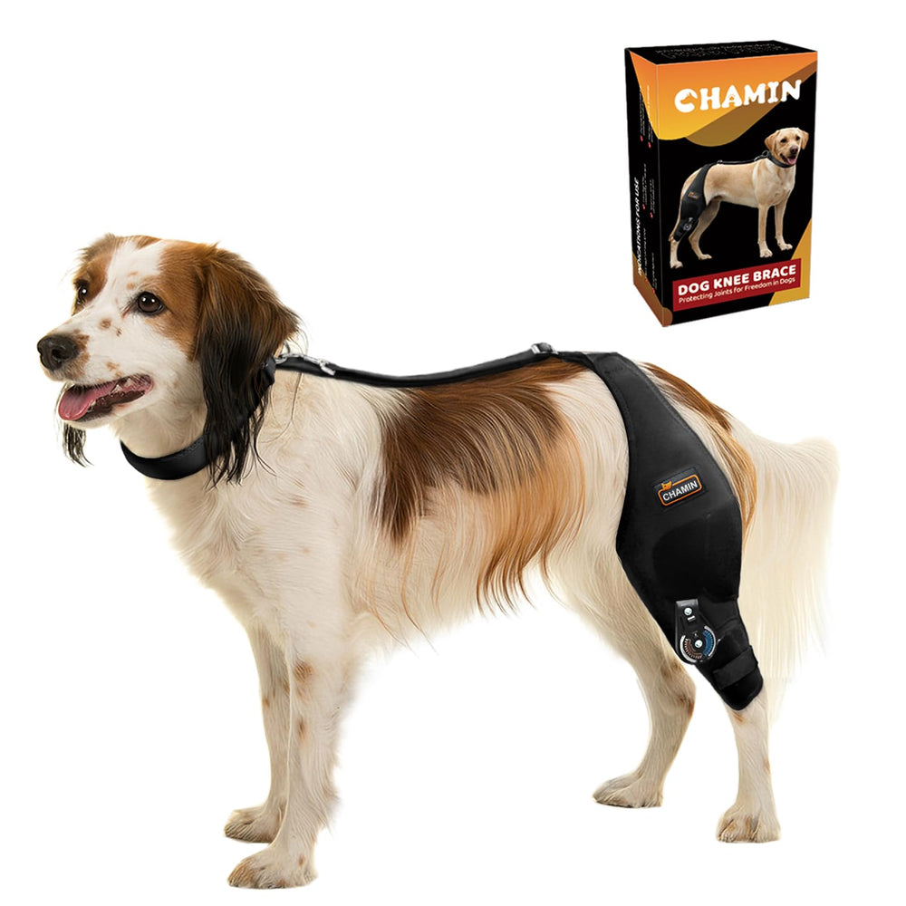 CHAMIN: rodilla de perro izquierda con ajuste, soporte estable para la marcha.