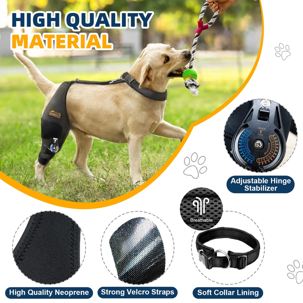 CHAMIN Rodillera Ajustable para Perro Derecha: materiales ligeros y transpirables para uso diario.