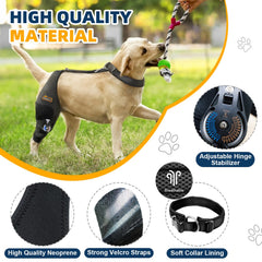 CHAMIN Rodillera Ajustable para Perro Derecha: materiales ligeros y transpirables para uso diario.