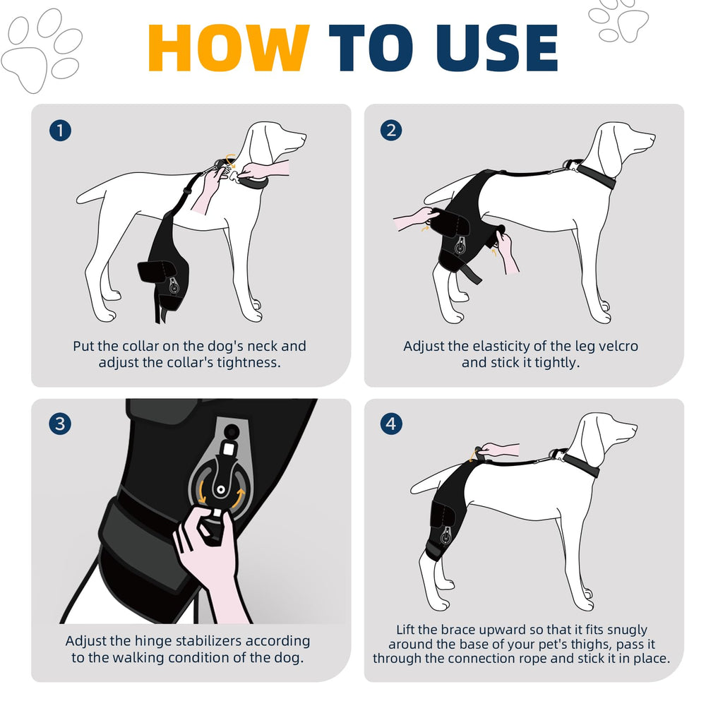 CHAMIN Rodillera Ajustable para Perro Derecha: soporte de ligamentos durante la rehabilitación posquirúrgica.
