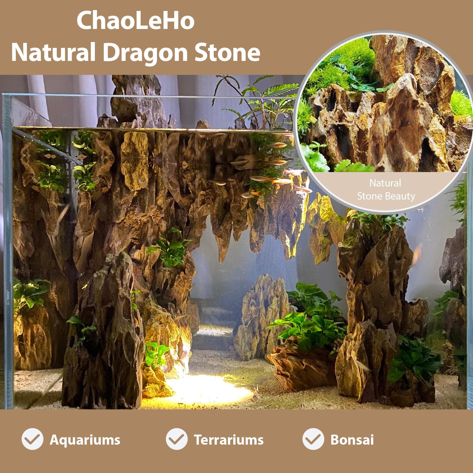 Piedra dragón de ChaoLeHo con tonos naturales en acuario