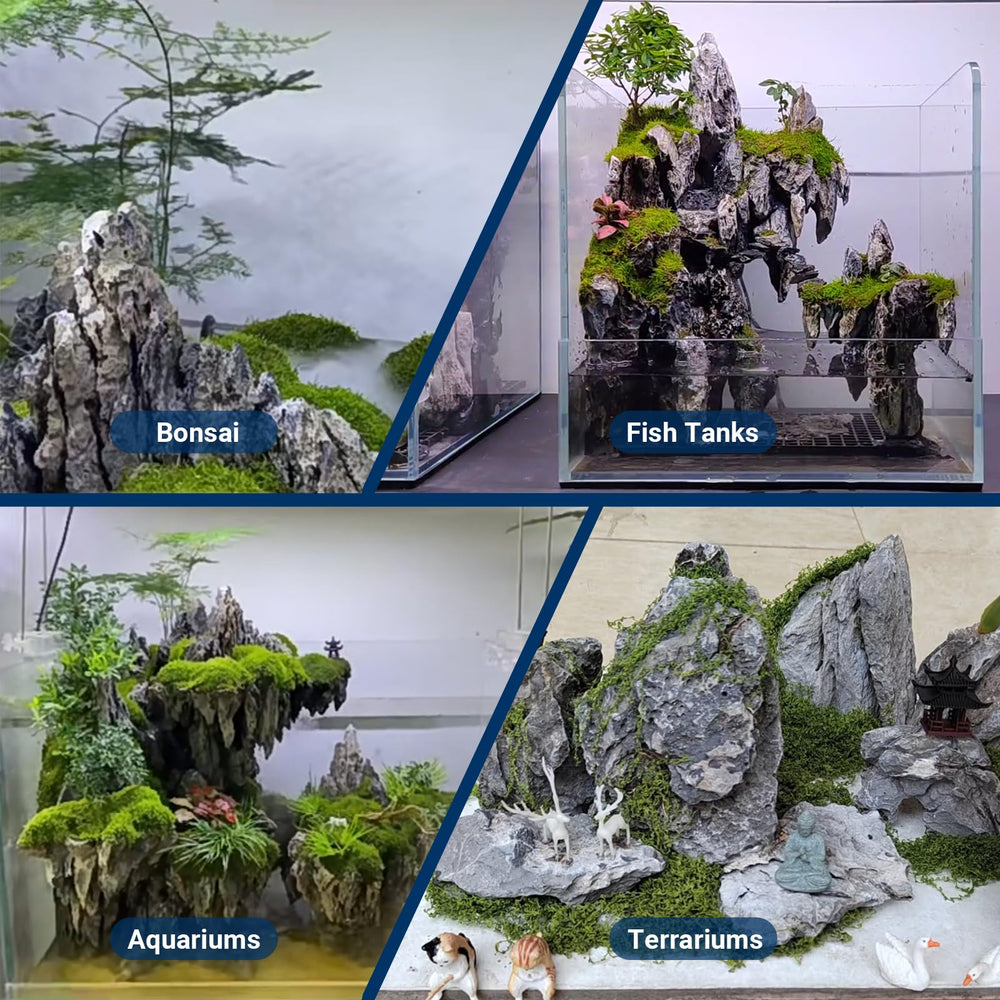 ChaoLeHo Seiryu: añade capas visuales en jardines interiores.