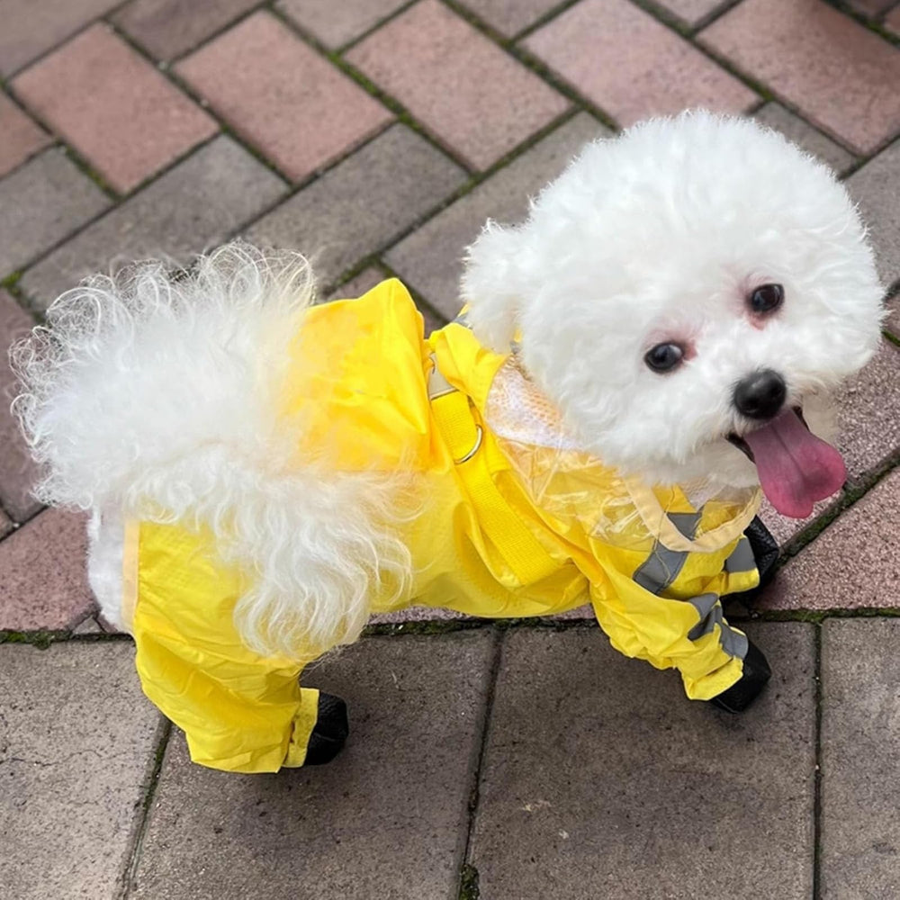 Chaqueta para perros con capucha impermeable, visión nítida y cabeza seca.