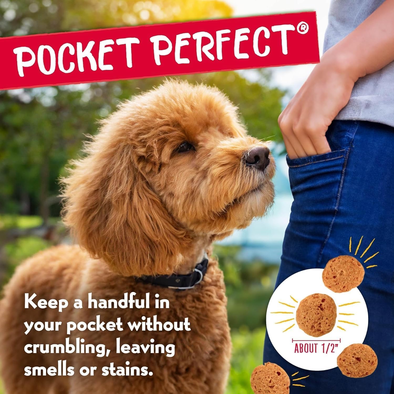 Charlee Bear crujido-ligero: textura agradable que gusta a perros durante el juego.