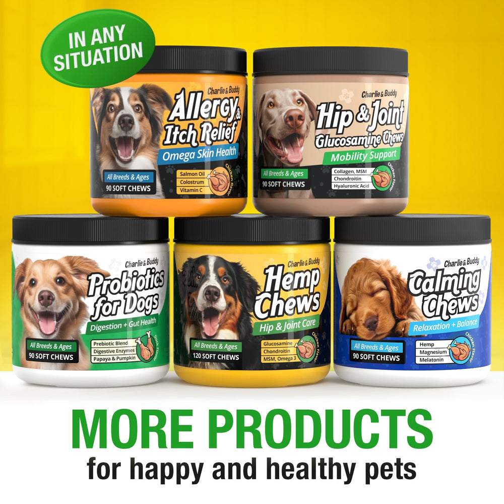 Etiqueta del producto CHARLIE Y BUDDY para perros.