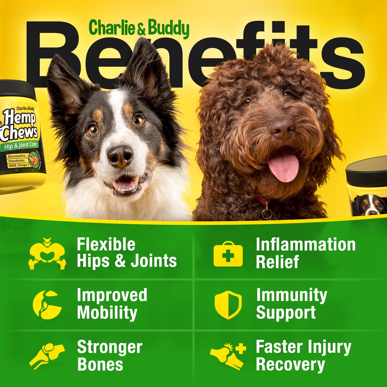 Tratitos para articulaciones de perros de CHARLIE Y BUDDY.