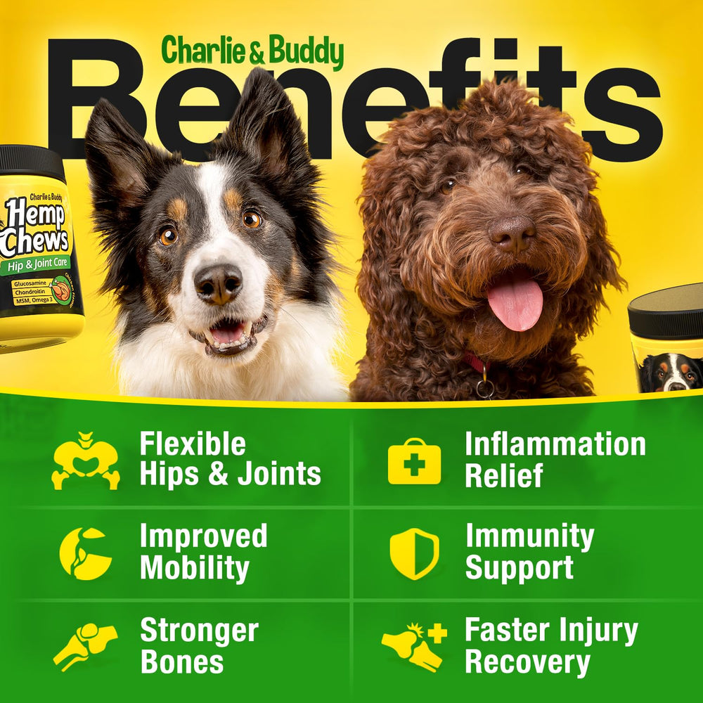 Tratitos para articulaciones de perros de CHARLIE Y BUDDY.