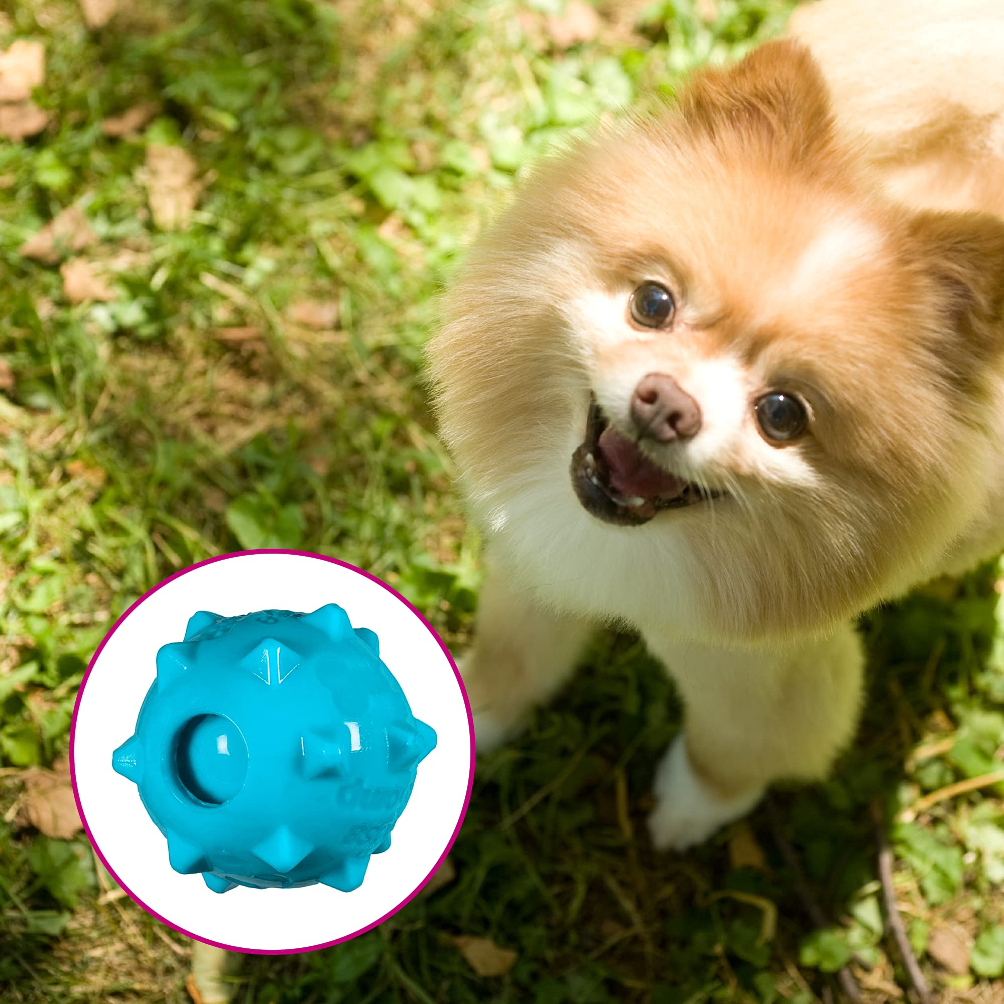 Chase 'n Chomp bola sonajero con textura externa para estimulación durante el juego.