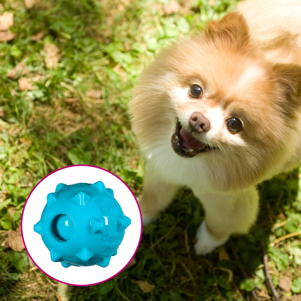 Chase 'n Chomp bola sonajero con textura externa para estimulación durante el juego.